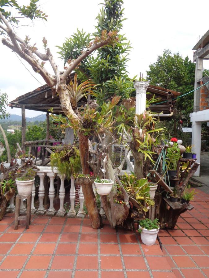 Hostal Loco Locombia San Agustín Eksteriør billede